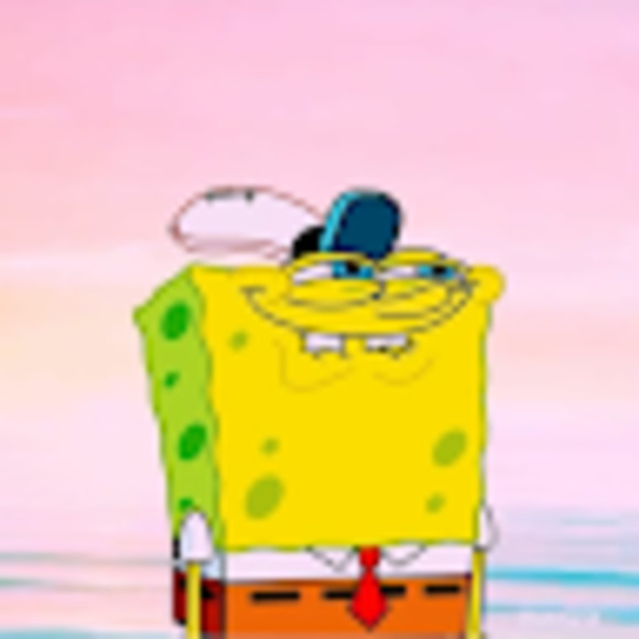 Meet your Posher, Maddy - Picture 1 of 1